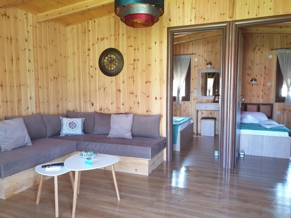 Villa Irida Sarti Bagian luar foto