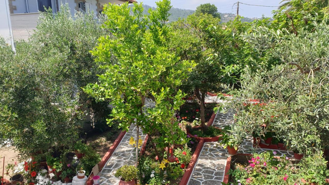 Villa Irida Sarti Bagian luar foto