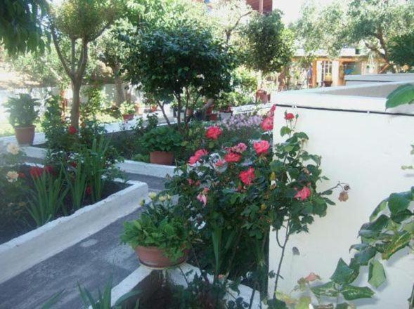 Villa Irida Sarti Bagian luar foto