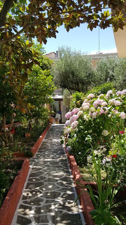 Villa Irida Sarti Bagian luar foto